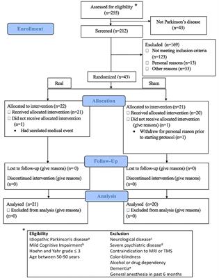 Theta-Burst Stimulation for Cognitive Enhancement in Parkinson's Disease With Mild Cognitive Impairment: A Randomized, Double-Blind, Sham-Controlled Trial